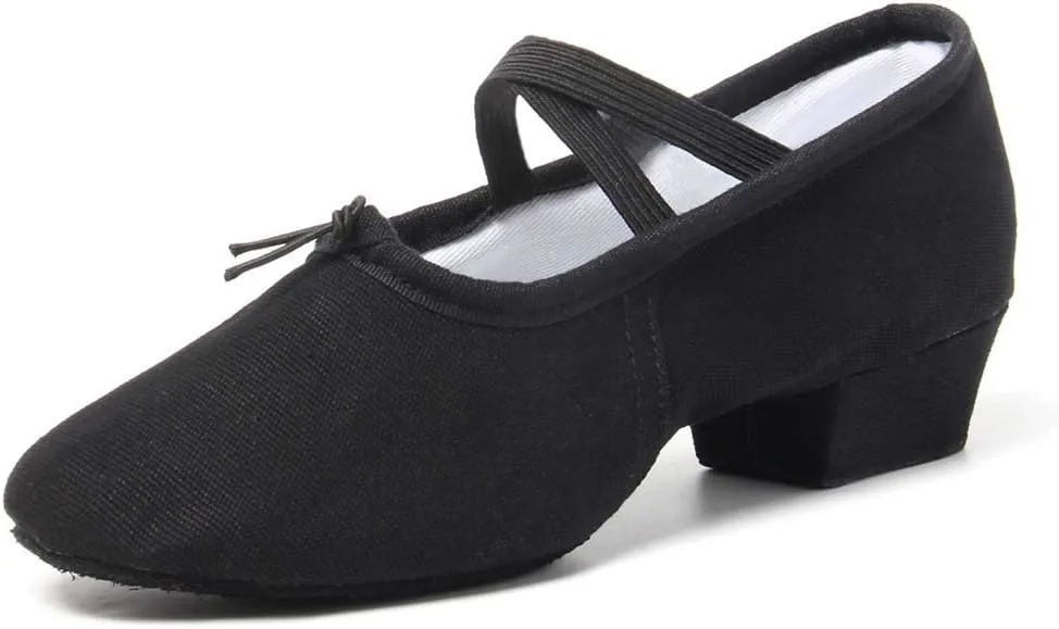 TINRYMX Women Canvas Latin Dance Shoes Ballroom Character Teacher Shoes
